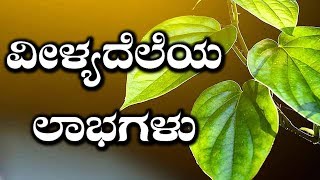 Sexual \u0026 Other Health Benefits Of Betel Leaves | ವೀಳ್ಯದೆಲೆಯ ವಿಭಿನ್ನ ಉಪಯೋಗಗಳು