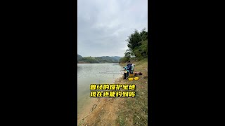 这样的野钓环境，哪个钓鱼人不喜欢，如果能爆护那就更好了#内容启发搜索 #野钓鲫鱼 #爱生活爱钓鱼 #canfish #canfishcf1