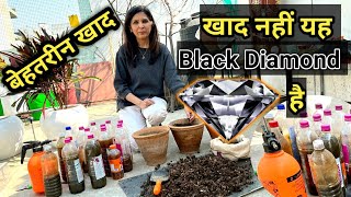 यह है सबसे शक्तिशाली Black Diamond खाद आज ही बना लो घर पर तुरंत | Make Compost From Kitchen Waste