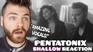 First Time Hearing PENTATONIX "Shallow" | Official Video | REACTION!