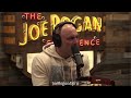 joe rogan derrick hamilton falsely imprisoned for 23 years