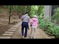 강남 프리미엄 실버타운 둘레길 부럽지 않은 시그넘 하우스의 숲길🌲 feat. 실버타운 부부의 아침 루틴