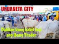 March 03, 2024 Update  Presyo ng Baka sa Urdaneta City Livestock Market in Pangasinan #livestock