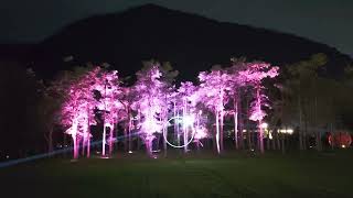 台東光祭(Taitung Light Festival)，回知本2023@台東@光影