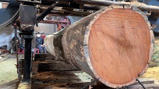 Amazing Sawmill Wood Cutting - Extremely Wood Cutting Sawmill Working Strong