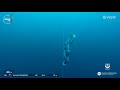 Trubridge - Day 1 - CMAS 4th Freediving Outdoor World Championship - Roatan 2019