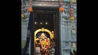 Sri Venkateswara Swamy Helensburgh Australia | Om Namo Narayanaya 🙏🙏 |#நீலாம்பிகை