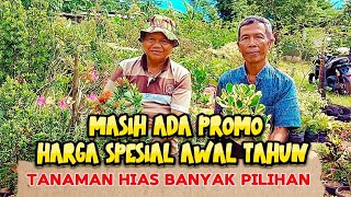 MASIH ADA PROMO HARGA SPESIAL AWAL TAHUN ‼️TANAMAN HIAS BANYAK PILIHAN