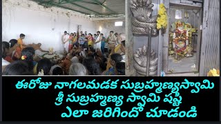 29-11-2022 మంగళవారం శ్రీ సుబ్రహ్మణ్యస్వామి షష్టి వైభవంగా జరిగింది