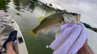 划着皮划艇去小湖里面钓鱼 今天收成真不错8条鲈鱼上钩 Fishing caught 8 bass