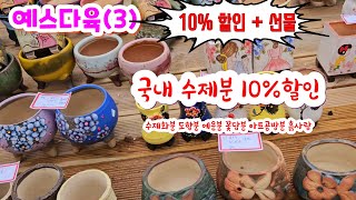 예스다육(3) 예쁜 화분들 10% 할인 예운분 4+2 6+2 5+2 10만원이상 또 선물 드립니다