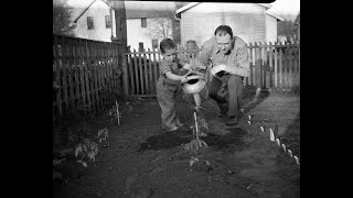 A Brief History of the Victory Garden