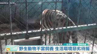 20190618 野生動物不當飼養 生活環境惡劣待援 (凱擘大台北數位新聞)