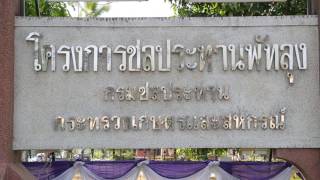 วีดีทัศน์แนะนำ สำนักงานชลประทาน 16 (Thai)