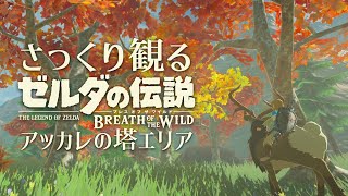 【コログ全回収】さっくり観るゼルダの伝説BotW マスターモード │ アッカレの塔エリア