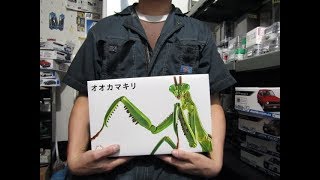 プラモ屋店長がお送りするキットレビュー フジミ おおかまきり