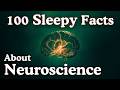 100 Neuroscience Facts to Fall Asleep To — Dreamy Science
