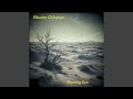 Radiant Echoes