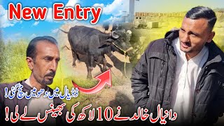 Danyal Khalid Buy New Buffalo Worth 10 Lac Rupees 😍✨ Dadyal Main Roly Pay Gye || Family Vlog