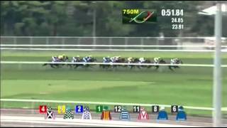 香港 チャンピオンズマイル（G1 ) モーリス 2016/5/1