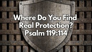 Where Do You Find Real Protection? - Psalm 119:114 - Daily Devotion - Daily Bible Verse