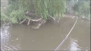 Bassman Spinner Baits - Murray Cod Fishing