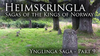 VIKING SAGAS Heimskringla: Ynglinga Saga [Part 9]