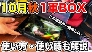 【バス釣り】10月秋のルアー・ワームのタックルボックス!!整理したのでバッグの中身を紹介してみた【俺達】【秦拓馬】【錆び取り・防止】【ルアー回収機】[RAID JAPAN]