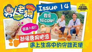 男人老狗  Issue 14 劫後唐狗肥波 遇上生命中的守護天使 (附中文字幕) 坪洲 狗狗領養 町町 柴犬