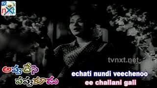 Yechati Nundi Veecheno Video Song | Appu Chesi Pappu Koodu Telugu Movie Songs | N.T.R | TVNXT Music