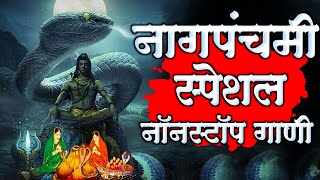 नागपंचमी स्पेशल नॉनस्टॉप डीजे गाणी | Nagpanchami Nonstop dj song 2024 | Marathi Dj Song