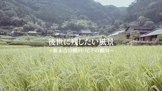 後世に残したい風景　～新永吉（しんながよし）の棚田・尾下（おさがり）の棚田～