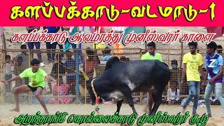 களப்பக்காடு ஆலமரத்து முனீஸ்வரர் கோவில்காளை vs அறந்தாங்கி கொல்லைக்காடு முனீஸ்வர் குழு  வீரர்கள்