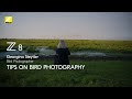 Nikon Z 8  TIPS ON BIRD PHOTOGRAPHY | Georgina Steytler | READY.ACTION. | ニコン