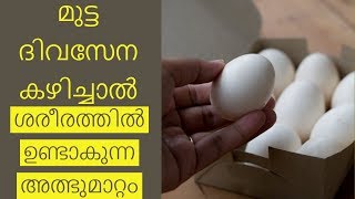 മുട്ട ദിവസേന കഴിച്ചാല്‍ ശരീരത്തില്‍ ഉണ്ടാകുന്ന അത്ഭുമാറ്റം||Health Tips Malayalam