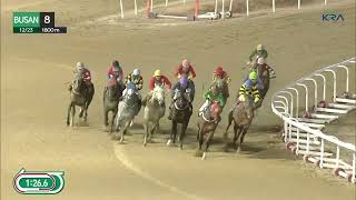 (Busan) 2022.12.23 R8 Jockey Kim Cheol-ho rides a Winner on his last weekend at Busan