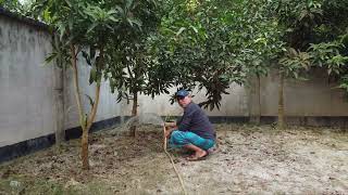 Some uncut raw footage of my father in law Idris Ali at Jessore Noapara abhaynagar village