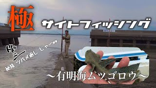 【釣り】極サイトフィッシング　有明海ムツゴロウ