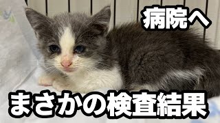 【病院】まさかの検査結果に