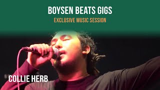 BOYSEN BEATS GIGS Collie Herb