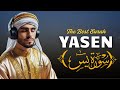 Surah Yaseen: The Heart of the Quran - A Journey of Faith and Wisdom ~ Alaa Yaseer