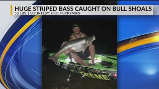 After Half-Mile Ride, Kayak Angler Lands Monster Striped Bass at Bull Shoals Lake