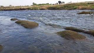 Tama River[Japan/Tokyo] 癒しの多摩川 昭島市