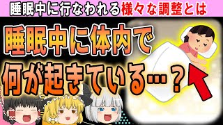 睡眠不足がいかにヤバいかわかる、睡眠中に体で起きている事とは…【ゆっくり解説】