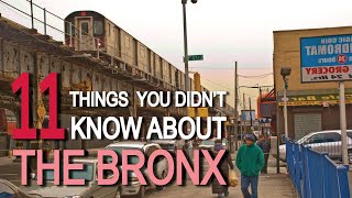 11 Things You Didn't Know About THE BRONX