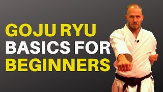 Goju Ryu Basics for Beginners: Blocks, Punches and Stances