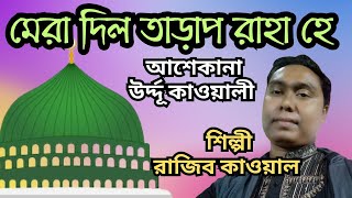 মেরা দিল তাড়াপ রাহা হে।। উর্দ্দূ কাওয়ালী।। শিল্পী - রাজিব কাওয়াল।।