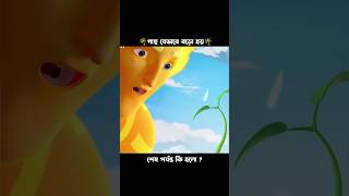 সূর্য ও বৃষ্টি যখন গাছ তৈরি করে 🌴😱 || #shorts #cartoon #3danimation