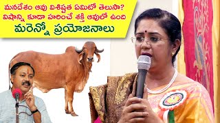 మనదేశం ఆవు విశిష్టత ఏమిటో తెలుసా?విషాన్ని కూడా హరించే శక్తి.. మరెన్నో ప్రయోజనాలు||Dr Nisheetha Dixit