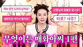 (무엇이든 매화아씨EP.1) 일반인은 어디서 빌어요? 빌면 진짜 도와주시나요? l 용한점집 유명한점집 미우새점집 일산점집